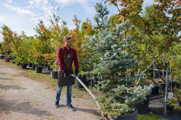 Leaf Removal in Peshtigo, WI